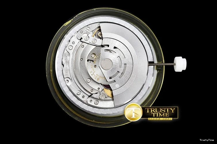 0303 Youthful ROLCEL074D – Cellini 877